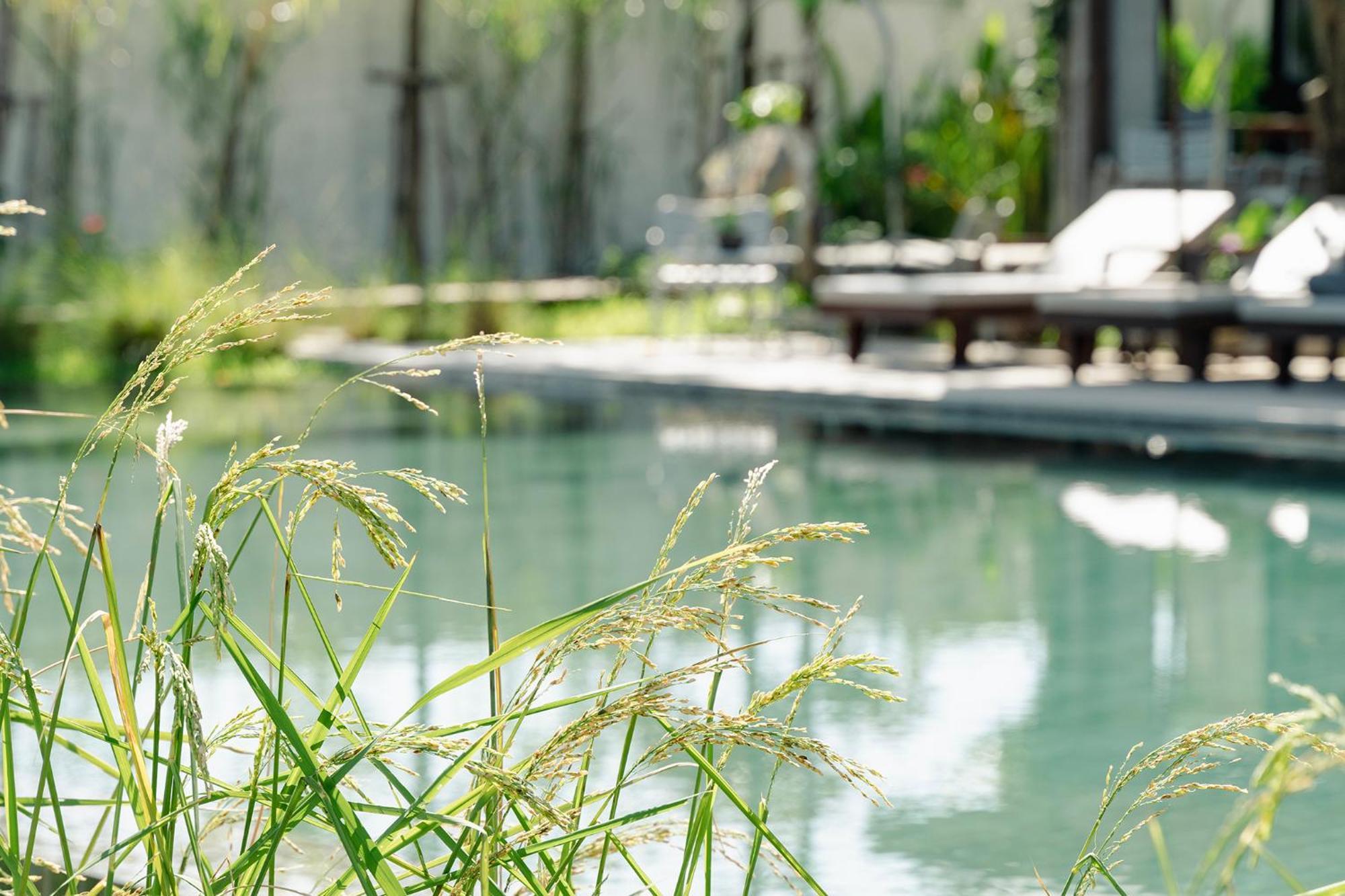 Le Chanthou Boutique Siem Reap Exteriör bild